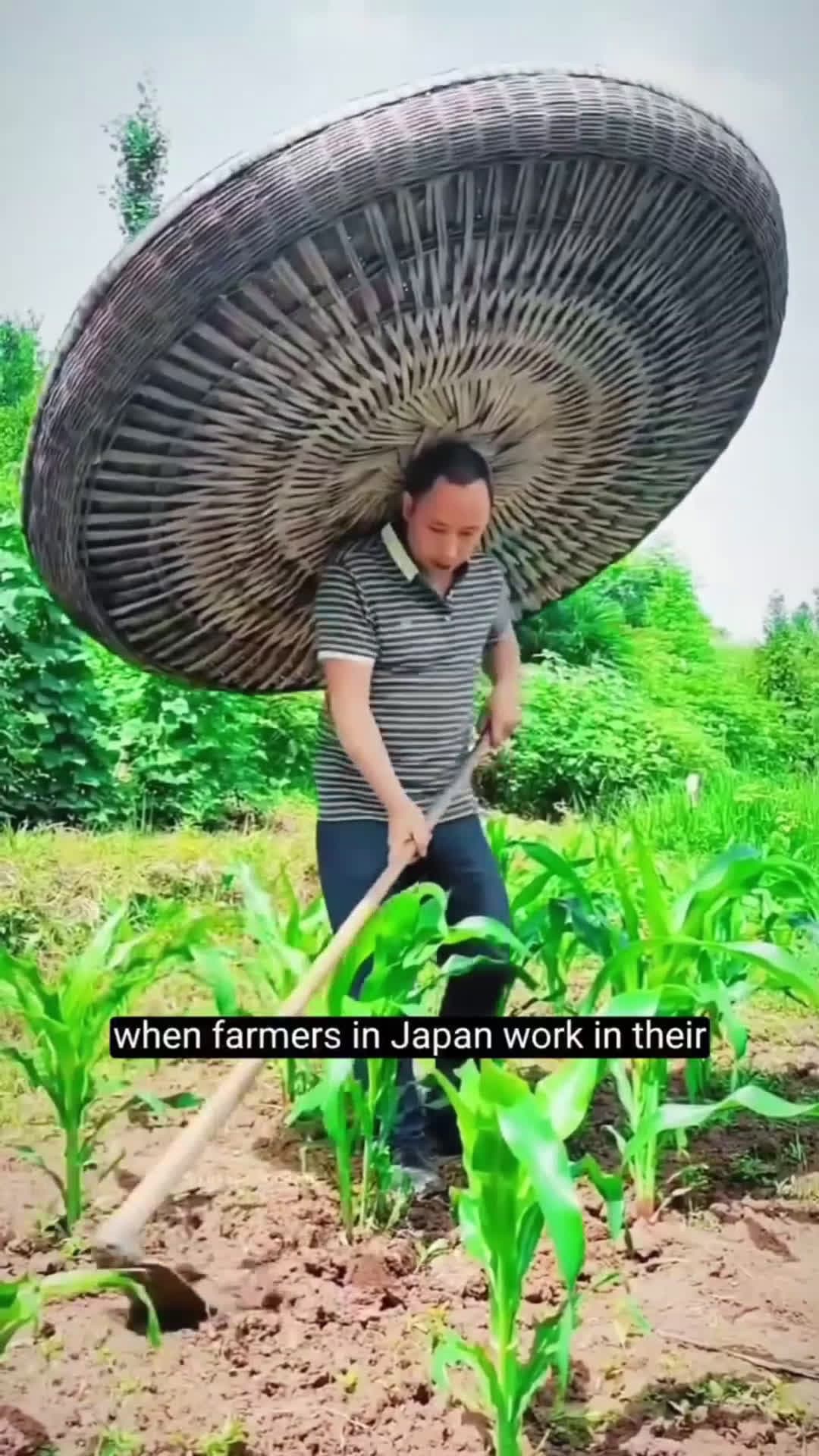cover for You’ve never seen anything like this—an amazing device that’s changing the way farmers protect their crops forever!