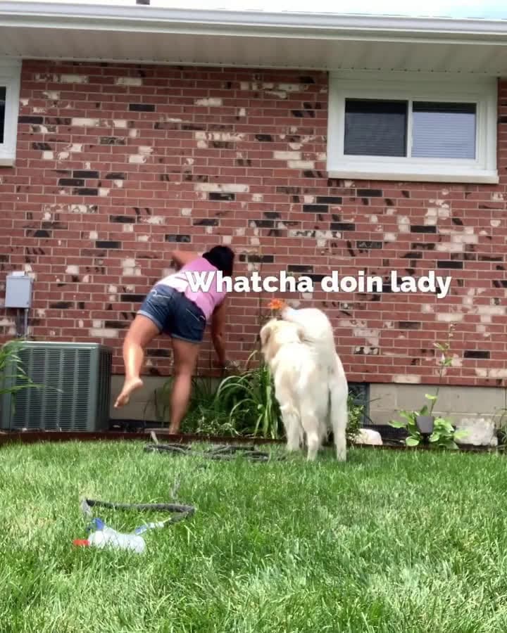 cover for Heckin bath doin me a torture