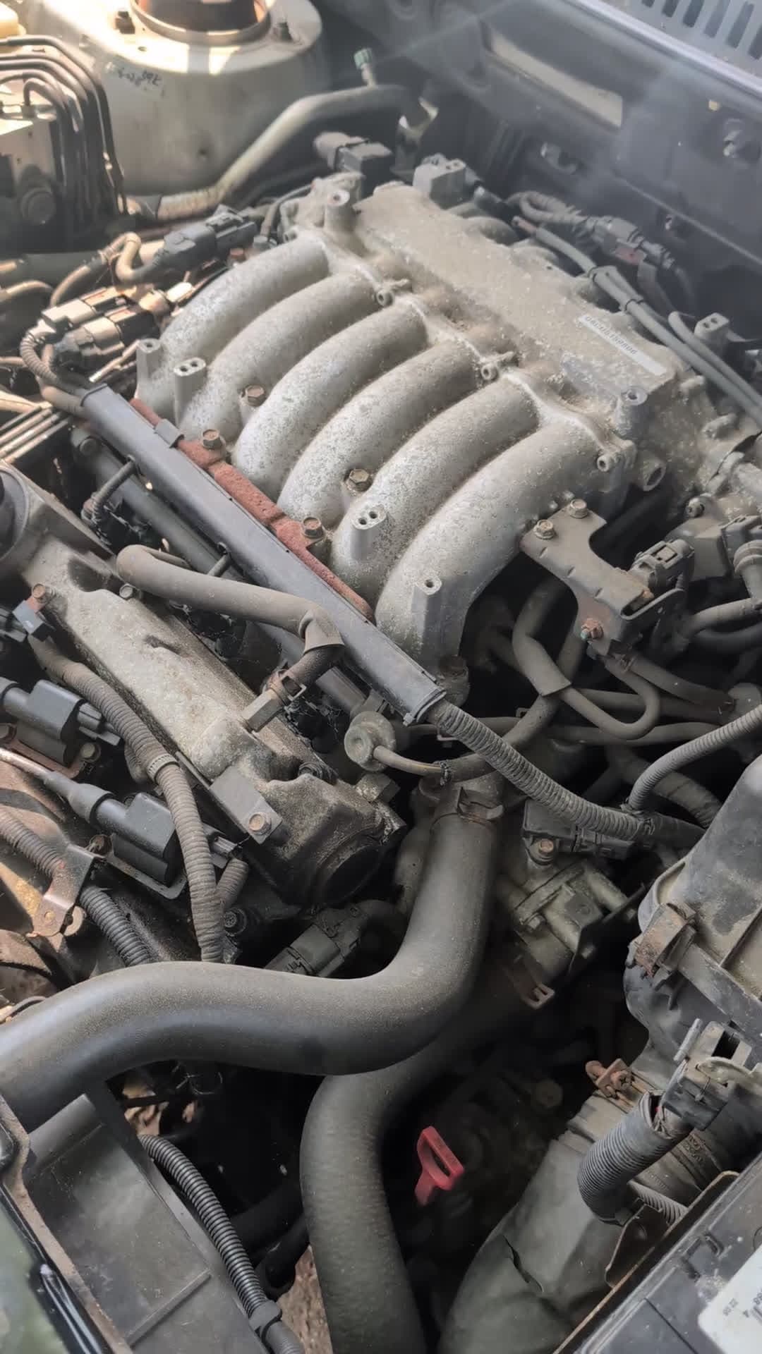 cover for Mysterious engine clicking in my 2005 Hyundai Santa Fe! Any guesses? 🚗🔊 #CarTroubles #EngineNoise #HyundaiSantaFe