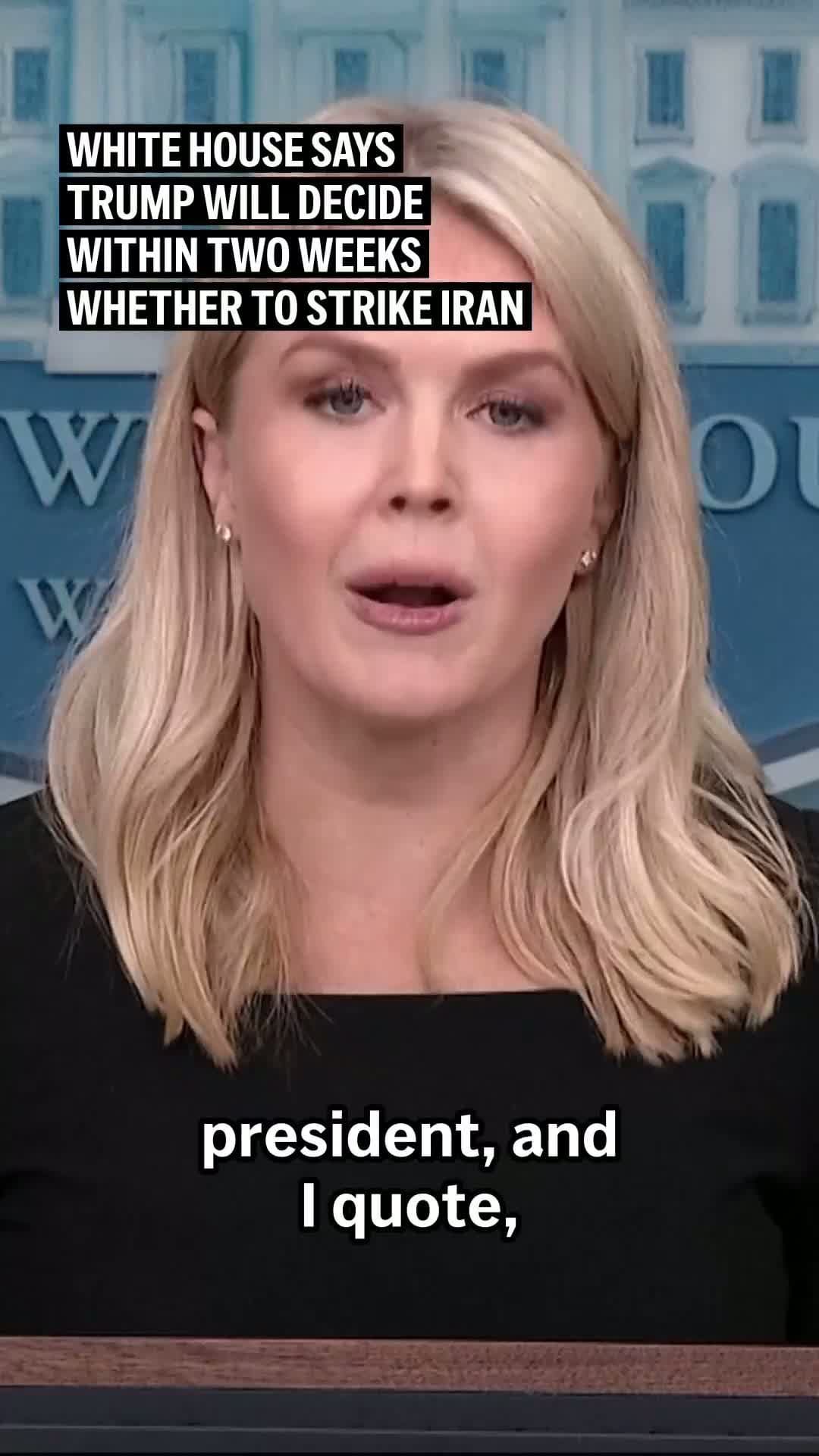 cover for VERTICAL TRUMP IRAN