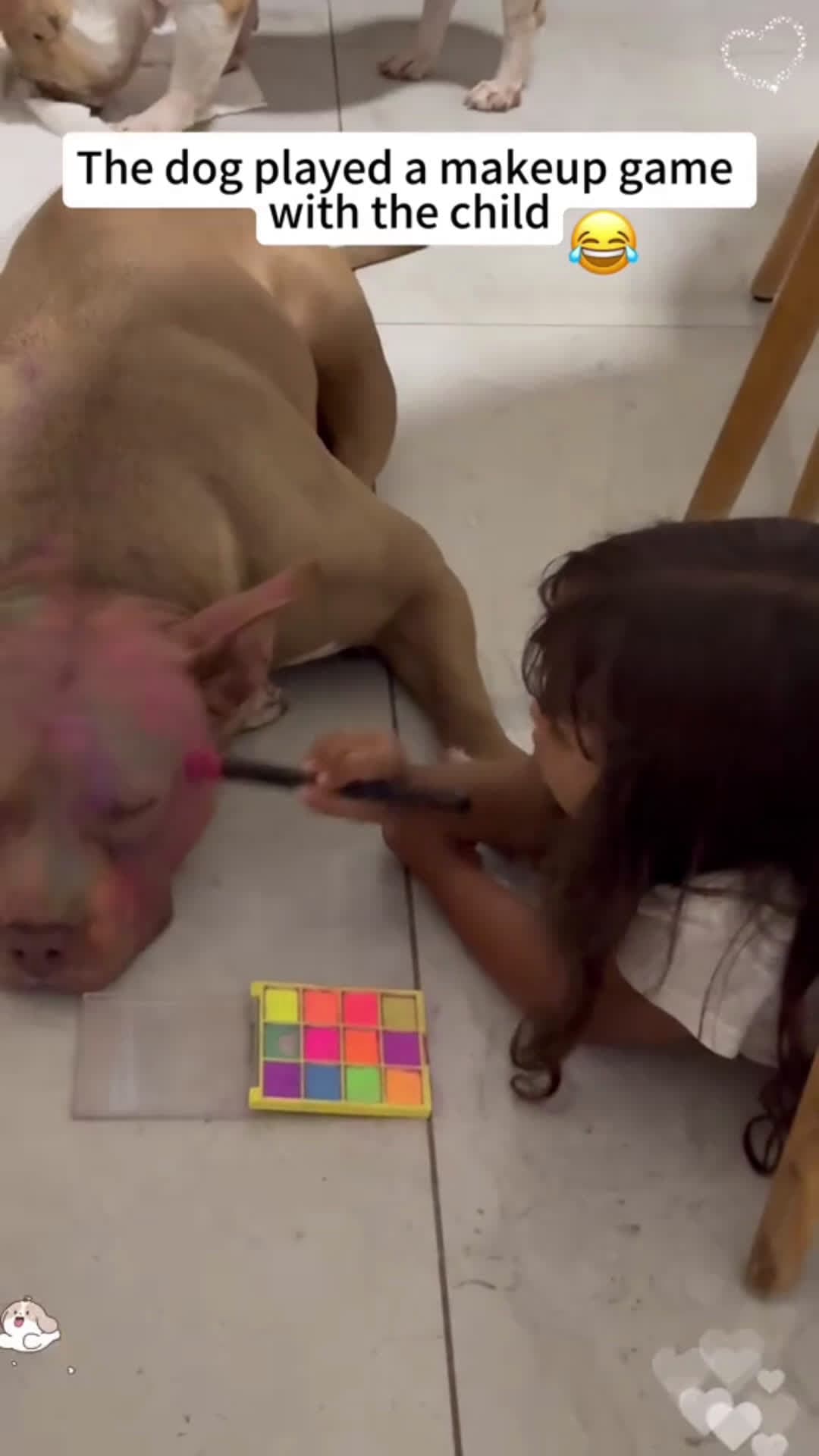 cover for Makeup game with dog 🐶 #dog #baby #fyp #puppy #TrueLove #play #happy #scoopzanimalvideo 