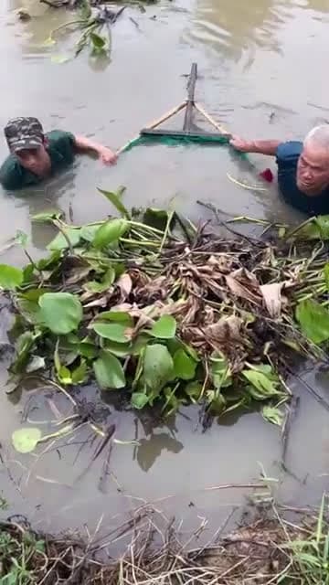 cover for Unbelievable Eel Trap Technique With Pri
