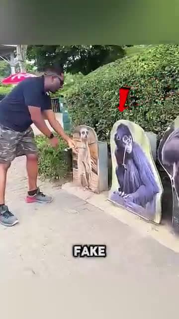cover for This Guy Thought He Could Move The Lion