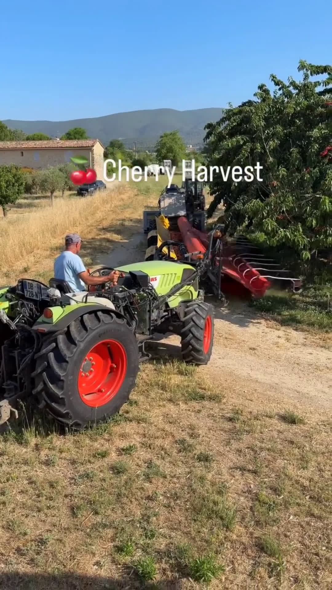 cover for Cherry farming