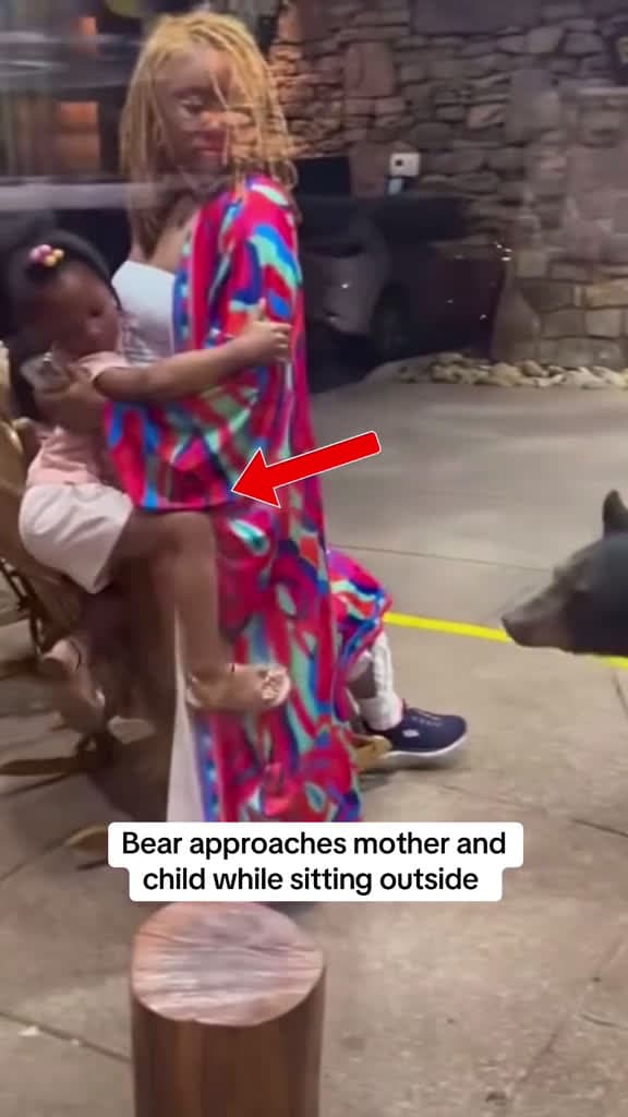 cover for Heartwarming Family Bear Encounters