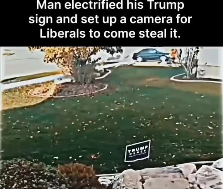 cover for Electric Trump 2.0, "The Trumpinator"