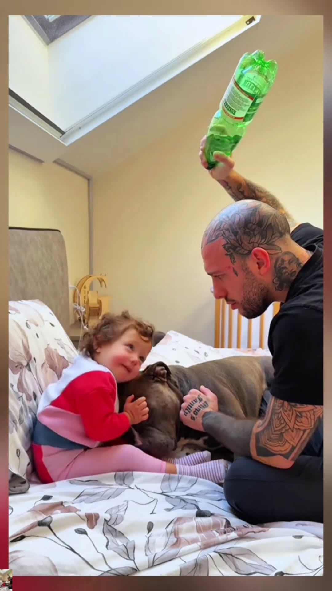 cover for Dad stop 🥰 #dog #cute #baby #pet #scoopzanimalvideo 