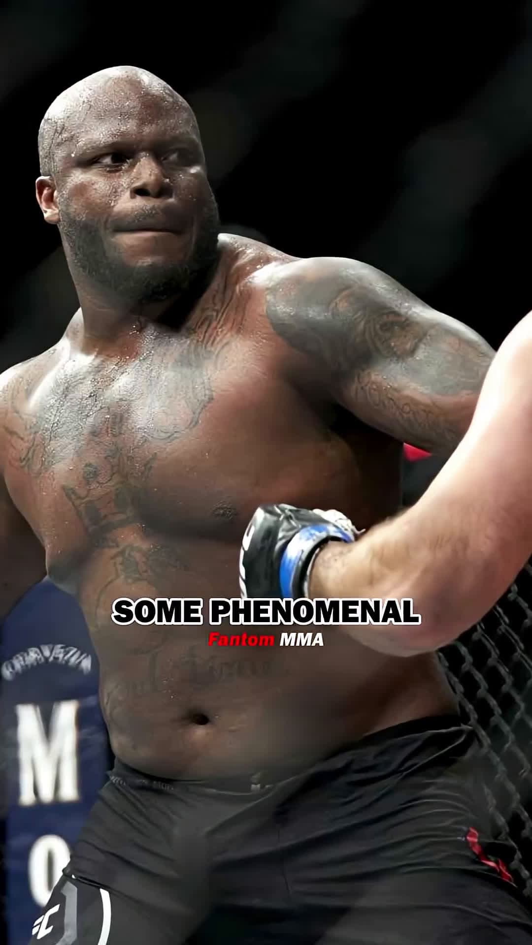 cover for #joerogan  #derricklewis  #ufc  #mma