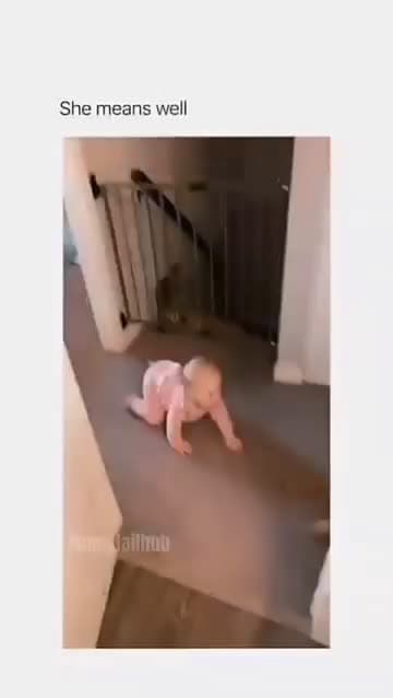 cover for Funny and cute dogs compilation #funnydog #cutedog #dogoftiktok #doglover #dog #dogoftiktok #foryoupage #funnypet #doggo #talkinganimals #foryoupagereels #funnyanimals #foryou 683