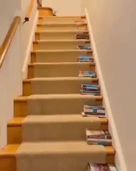 cover for The stairs are just too big for their tiny seIves!