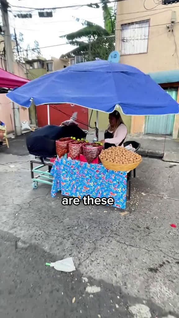 cover for $160 crickets in Mexico #food #foodies #mexico #FoodLover #streetfood #mexicocity #mexico