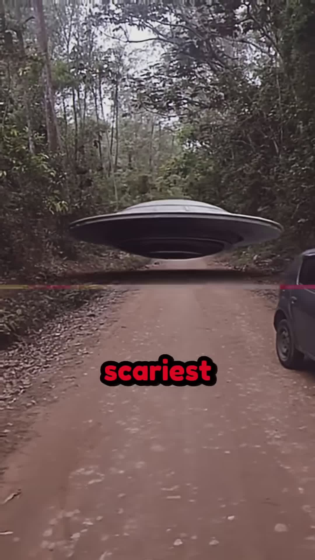 cover for 5 THINGS THAT HUMAN NEVER MEANT TO SEE