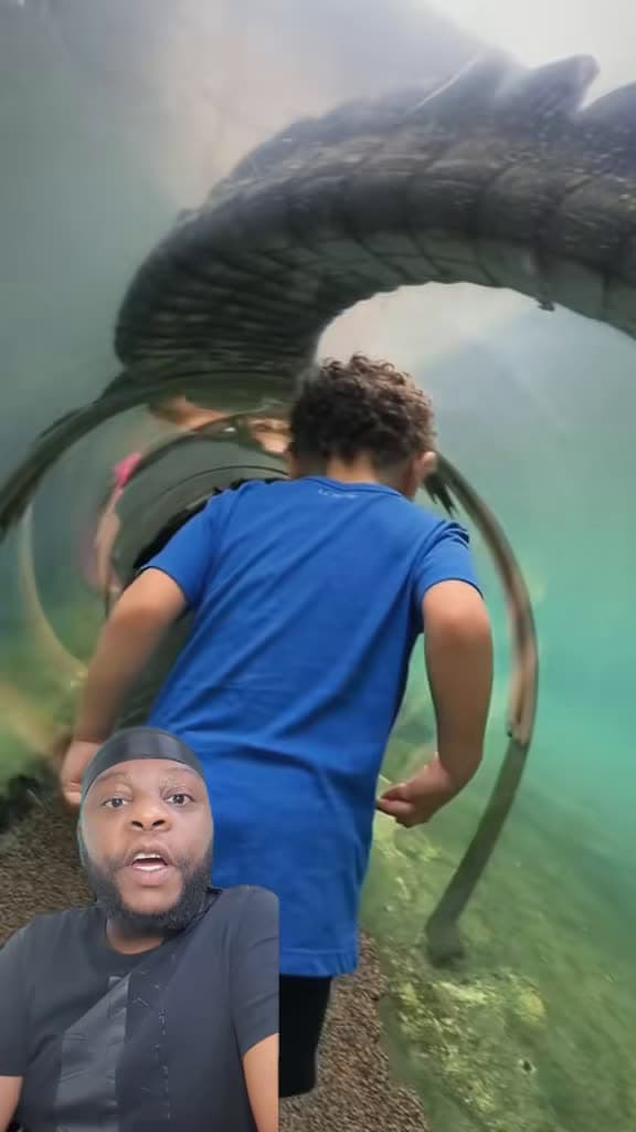 cover for Inside the Miami Zoo's underwater tunnel as alligators glide by 😱🤯 #Miami #Zoo #Alligators #Underwater #Wildlife