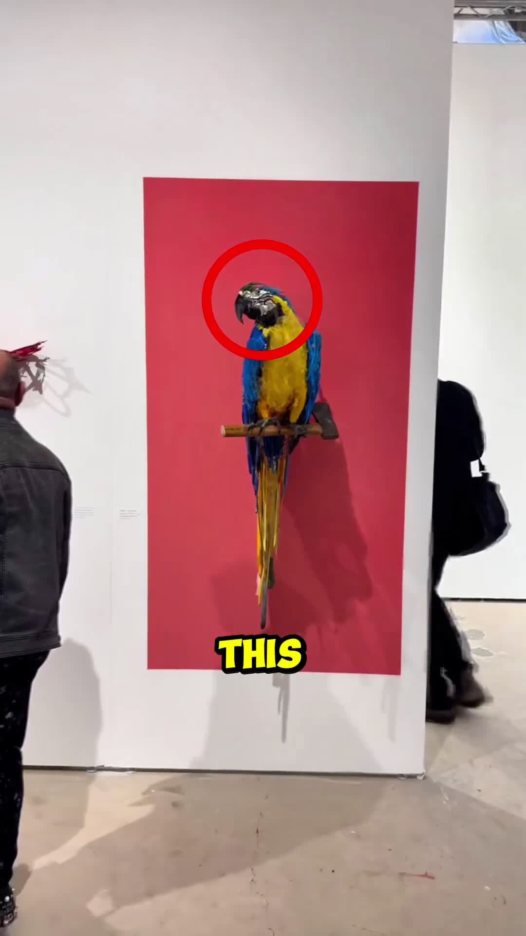 cover for This Art is So Unpredictable