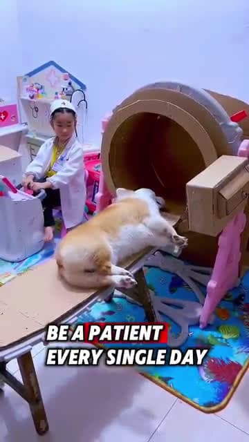 cover for This dog helped her little owner to become a doctor ❤️