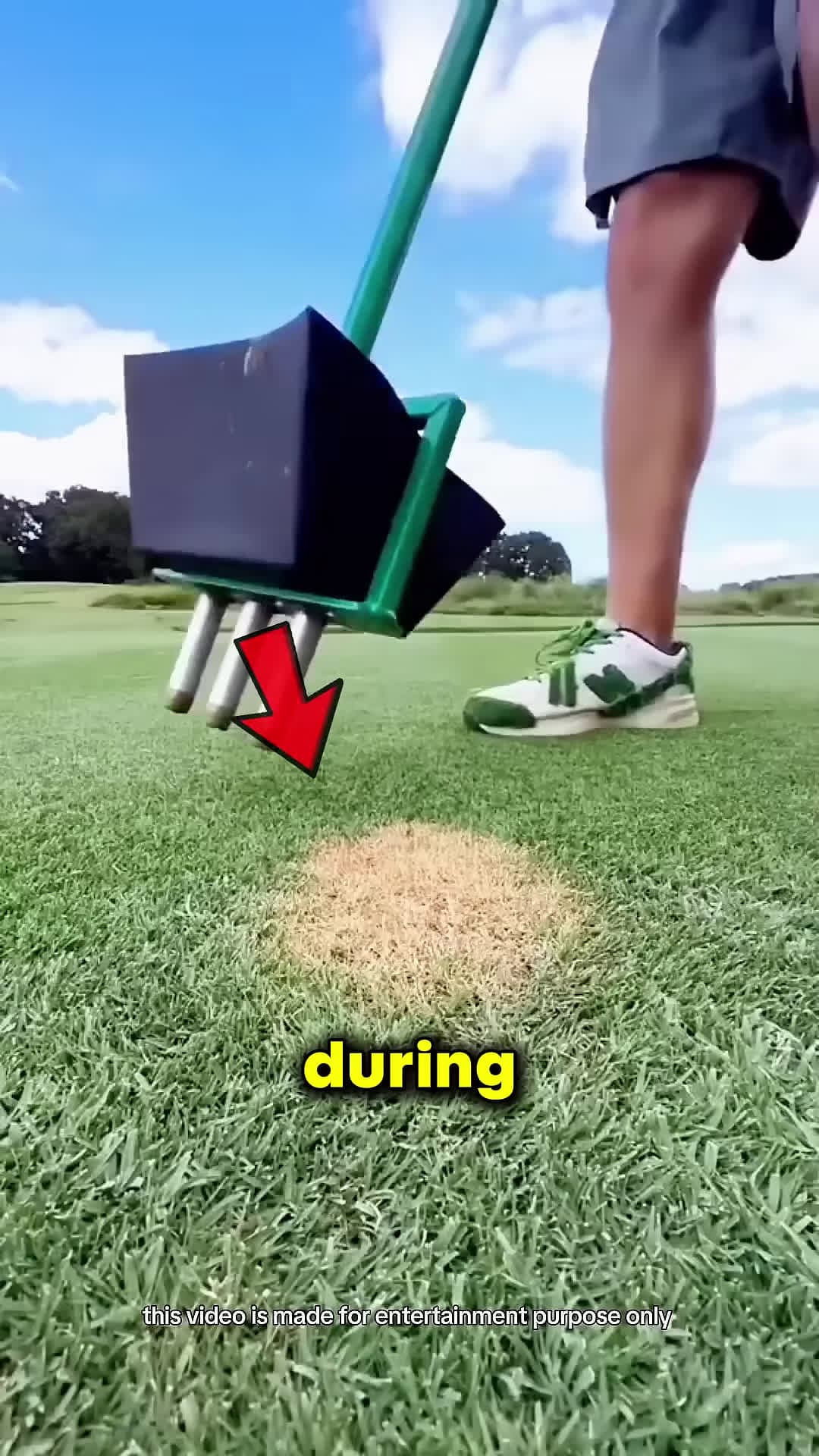 cover for He Fixed The Dry Grass Like This
