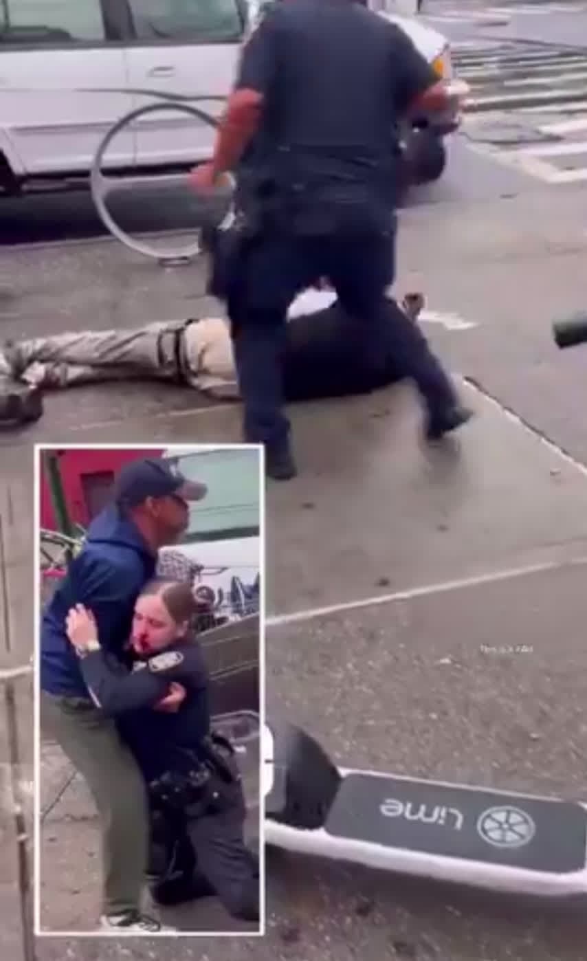 cover for Should have spanked his ass 😂😂fights caughtoncamera