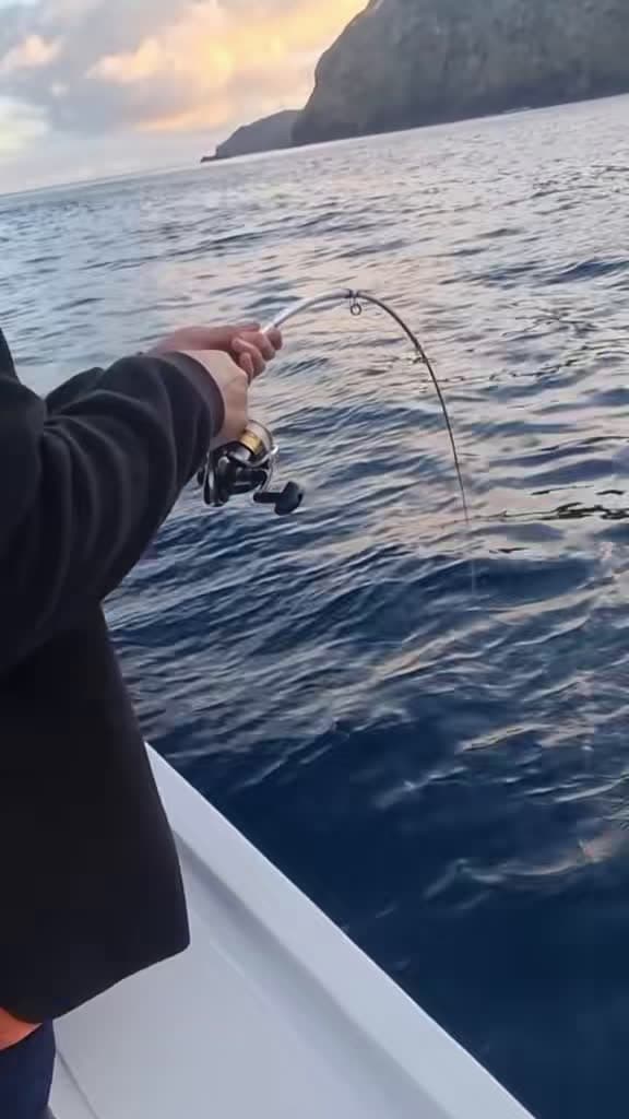 cover for Epic livebait catch at the 3 Kings! 🐟🌊 #NZFishing #Kingfish #DeepSeaAdventure
