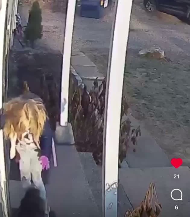 cover for Mother saves daughter from raccoon #fyp #viral #viralvideo