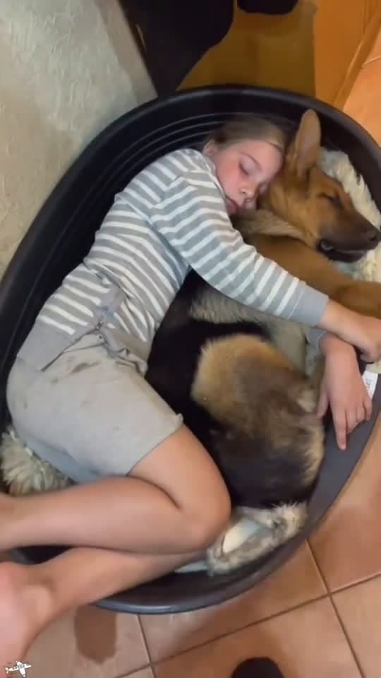 cover for The precious bond between children and dogs dog baby Love pet 57322 #trendingscoopz