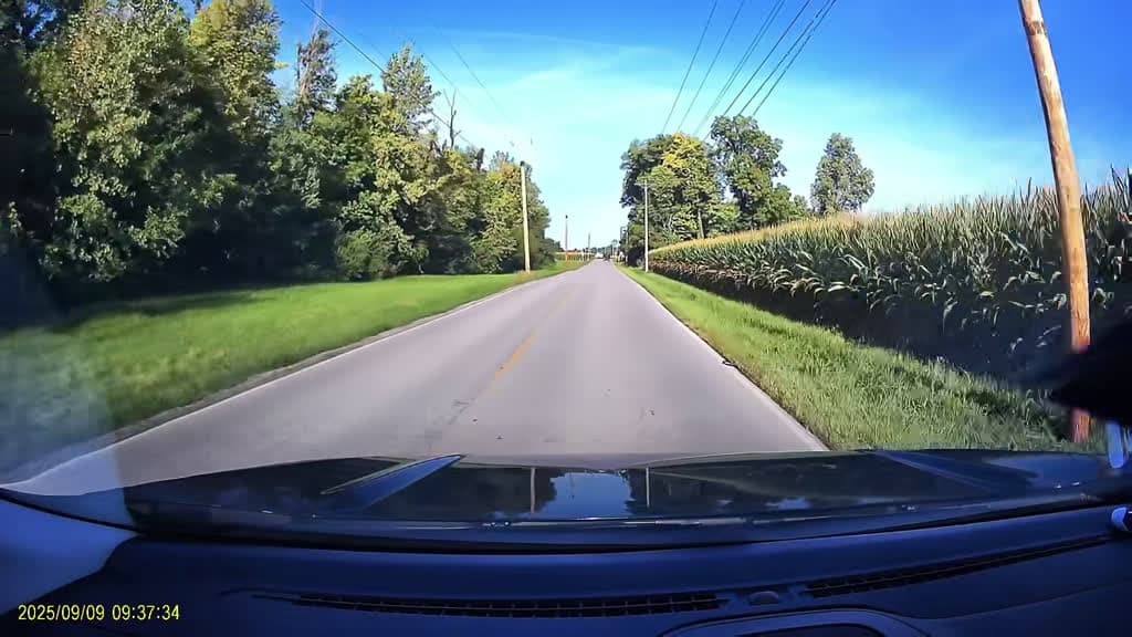cover for Just a typical day driving in Indiana—speeding a bit and making a risky move to avoid a sudden stop. Locals know how wild it gets! 🚗💨 #IndianaTraffic #Dashcam #CrazyDrivers