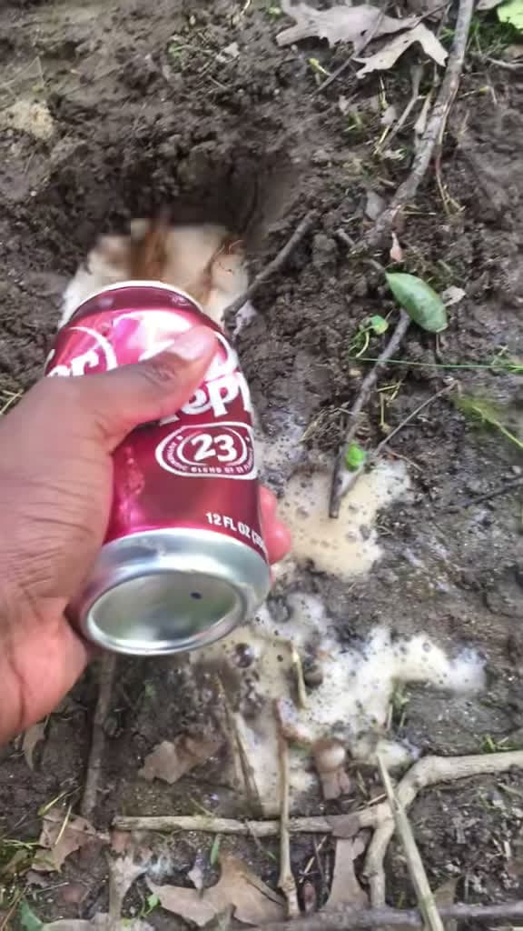 cover for Thought I was catching a catfish... but this backyard catch blew my mind! 😂🐟 #BackyardFishing #UnexpectedCatch #FishingFails