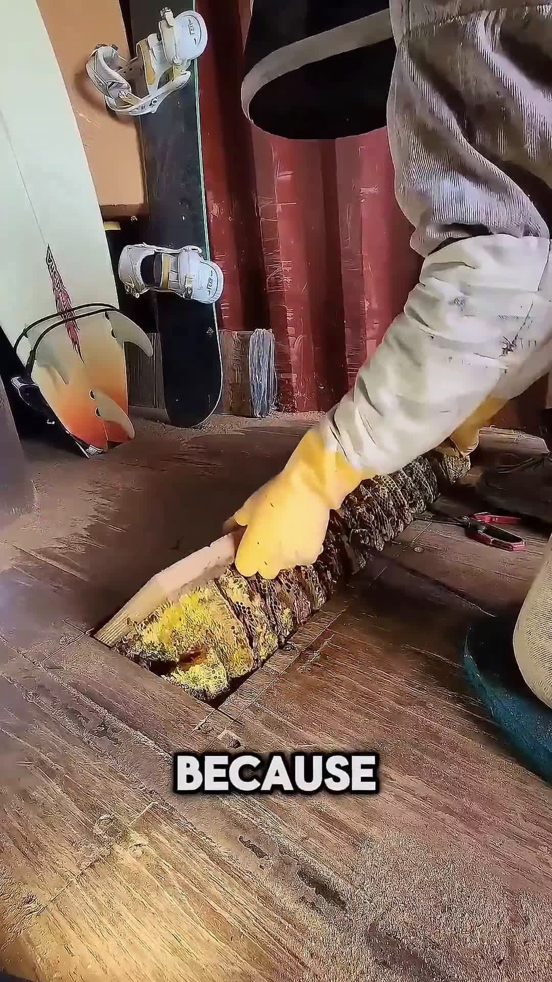 cover for This guy found a beehive in his house 😨
