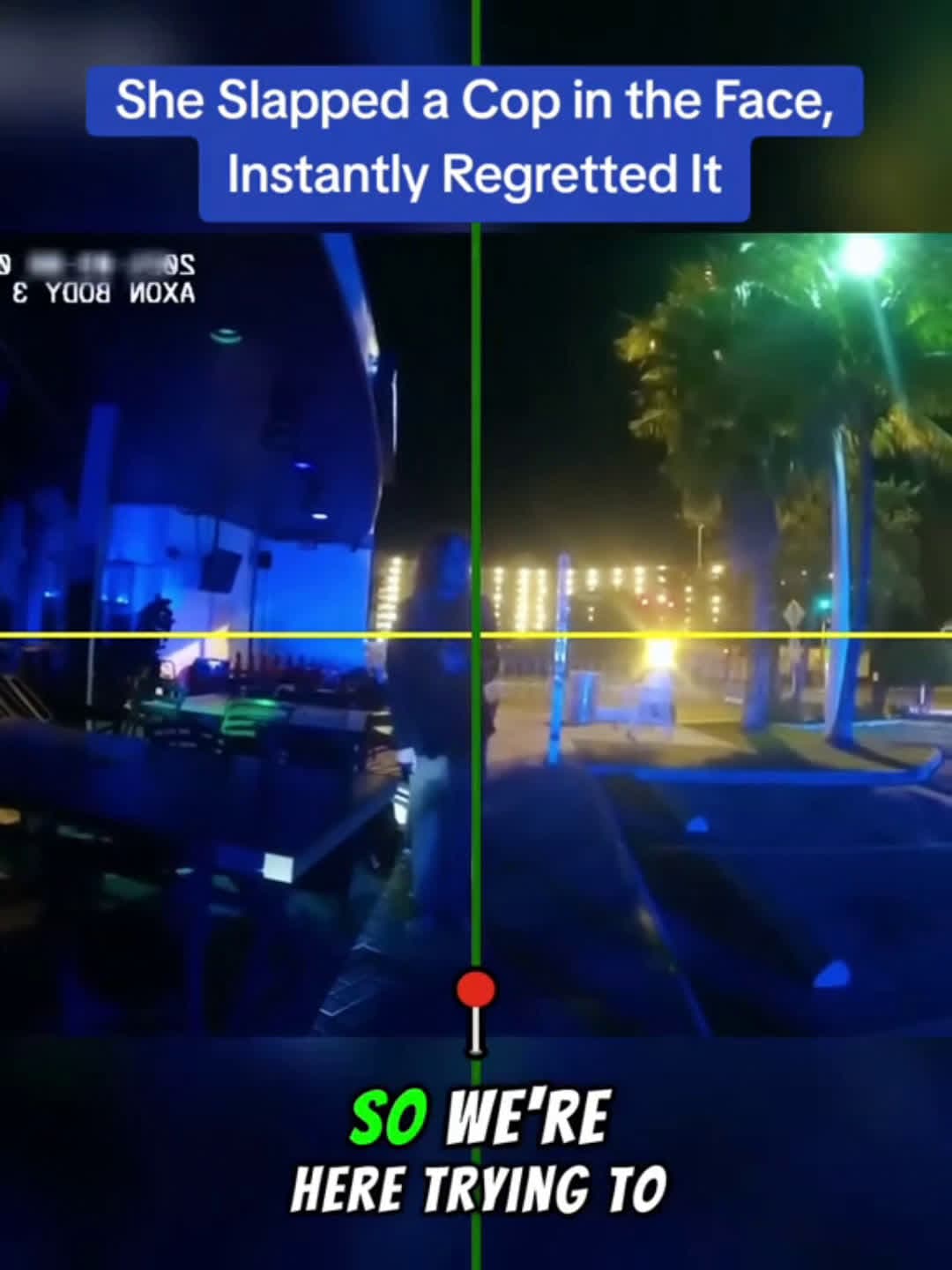 cover for She Slapped a Cop in the Face Instantly Regretted It cops#scoopz#fyp