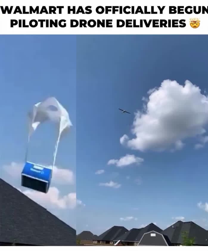 cover for #walmart new Delivery A.I 😂😳 #trending #entertainment #fyp #viral #scoopz 