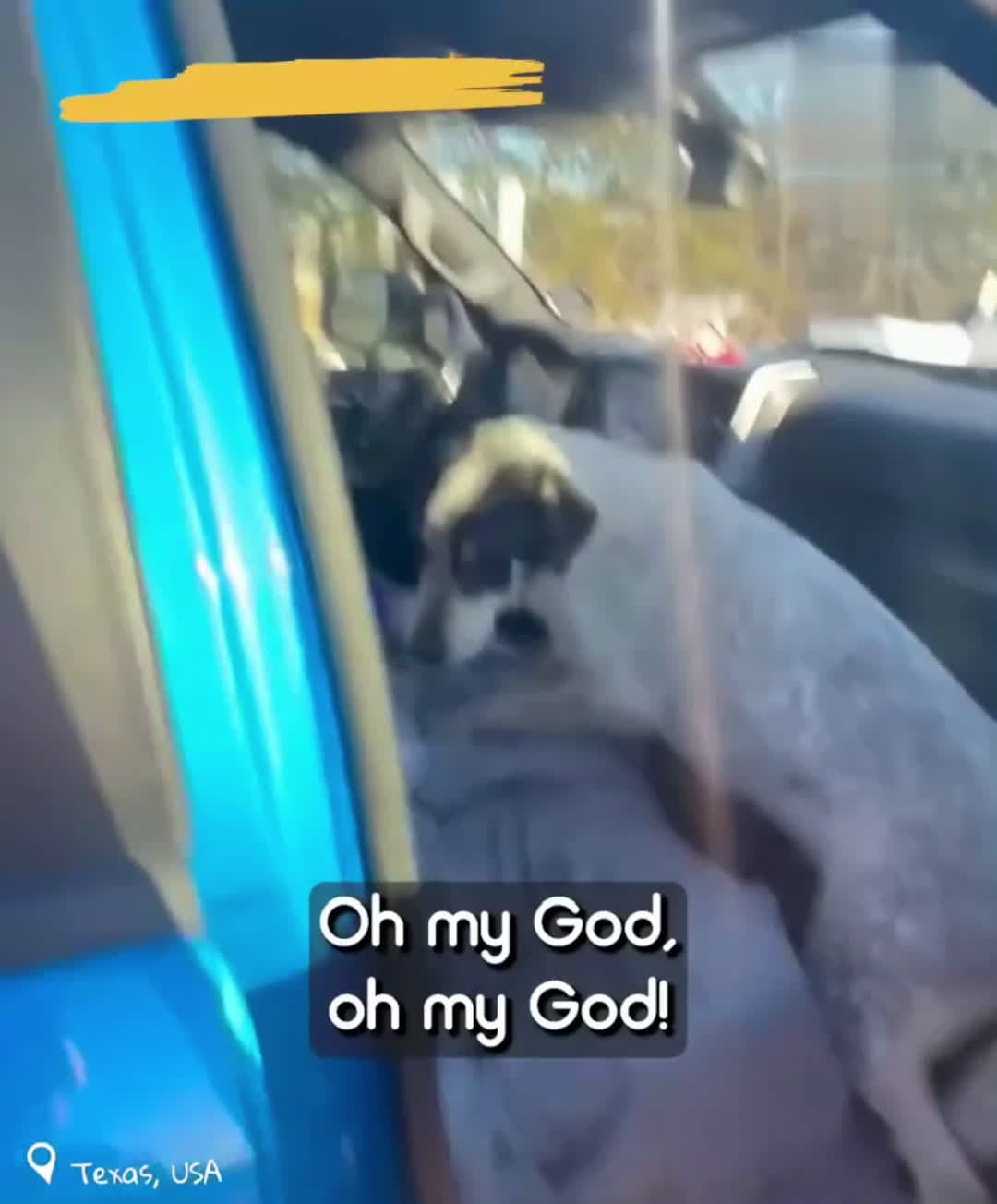 cover for Man Spends Four Days In Freezing Cold Trying To Rescue Stray DogHe spent days trying to rescue this stray dog in freezing temperatures - building trust until she stepped into his truck for the first time 💗
