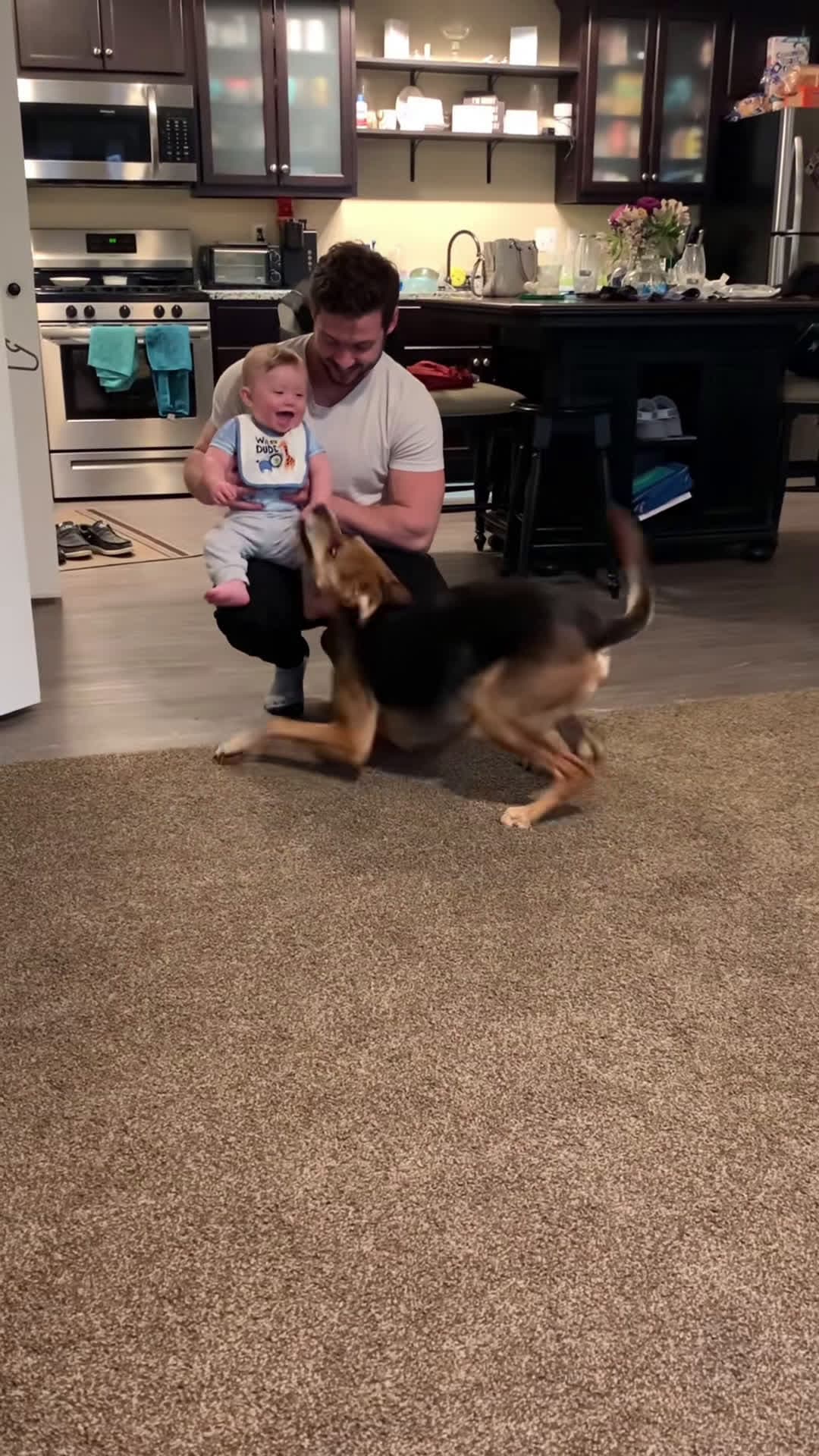 cover for Cute Dogs like babies #funny #foryou #dog #fyp