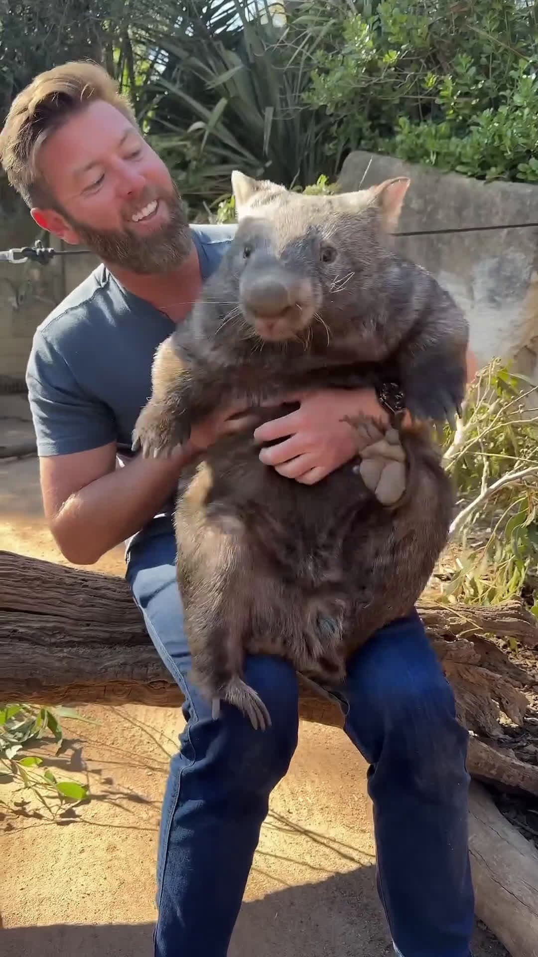 cover for This Might Be Australia's Best Animal #scoopzanimalvideo 