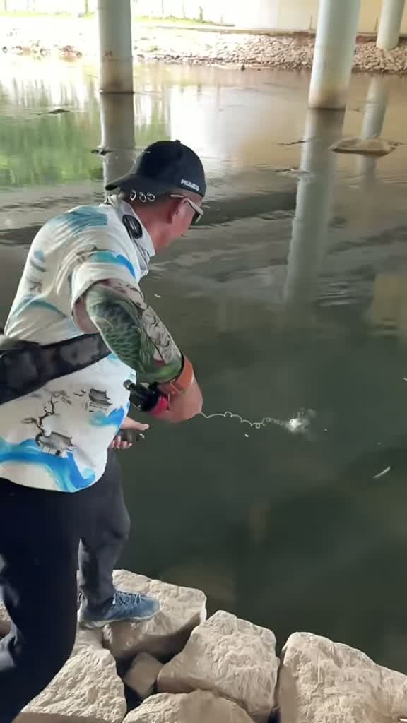 cover for Watch this man reel in a massive fish that left everyone speechless! 🎣 #EpicCatch #Fishing #BigFish #WildMoments