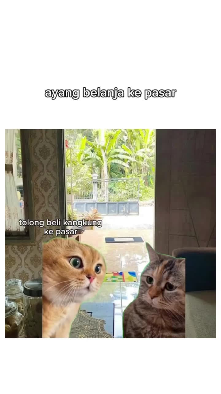 cover for definisi semua cowo sama aja Follow @gemoimedia untuk lebih banyak konten kucing lucu lainnya, update setiap hari gabung komunitas pecinta kucing terbesar di indonesia klik li