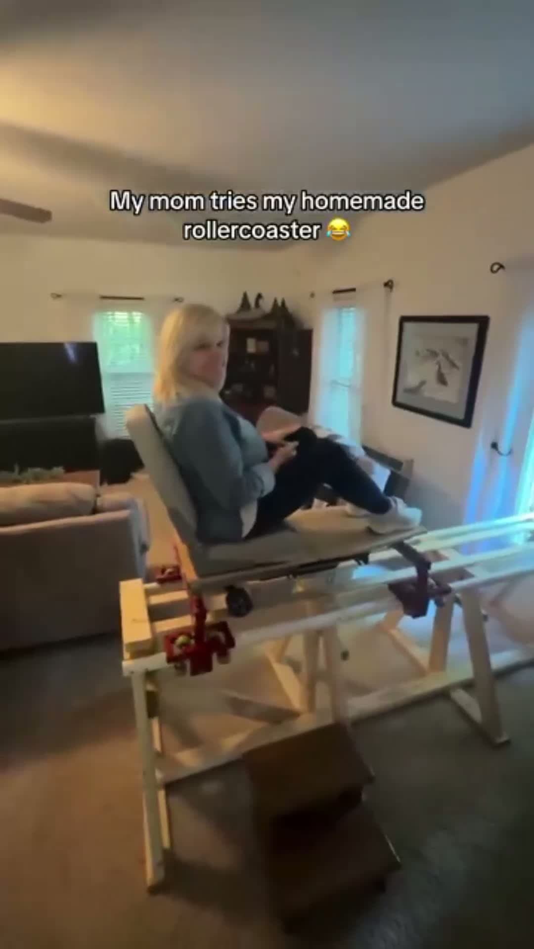 cover for Mom tries her son's homemade rollercoaster. 🎢