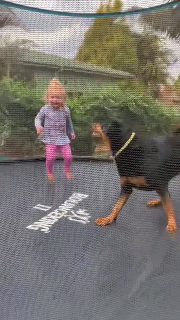 cover for The moment this Rottweiler starts singing like her baby sister foryoupage fyp viral views 74871 #us