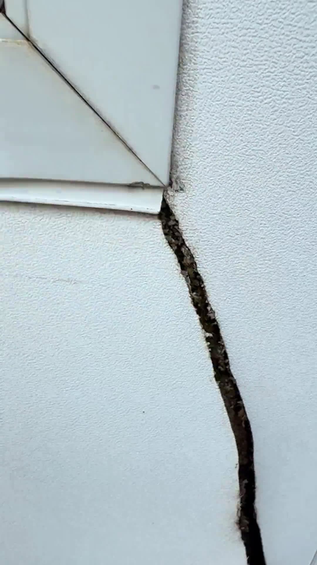 cover for Sprinkler destroyed my storm door! And what is this weird bug? 🐞 #HomeProblems #BugID #Fails