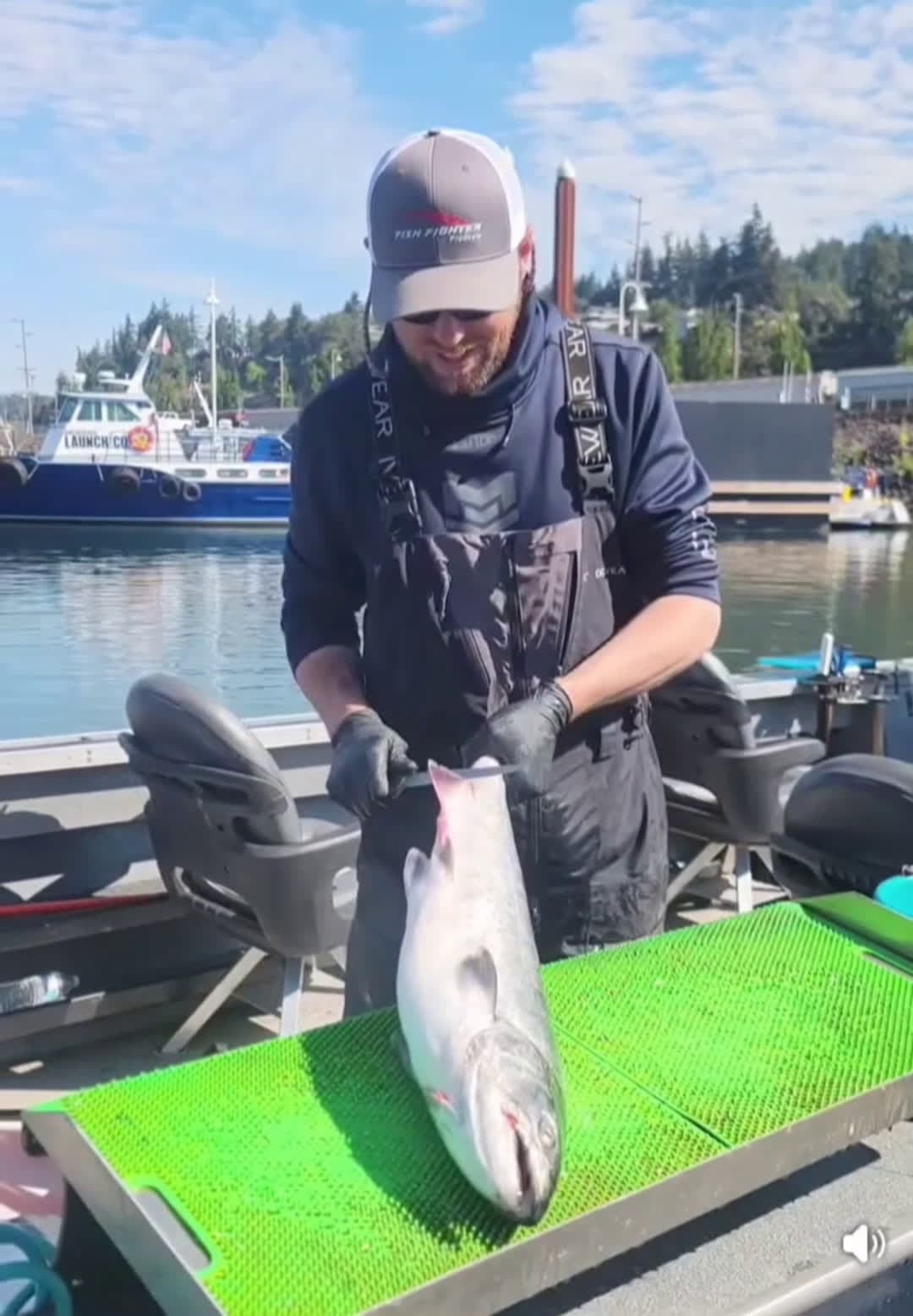 cover for #fishing #fillets #salmon 
