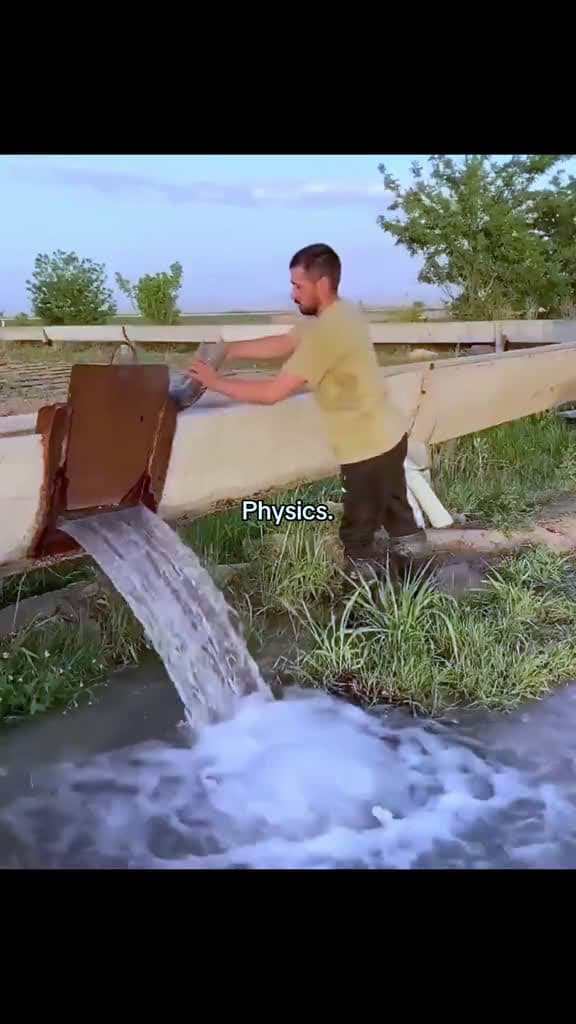 cover for physics amazing 23254 #american