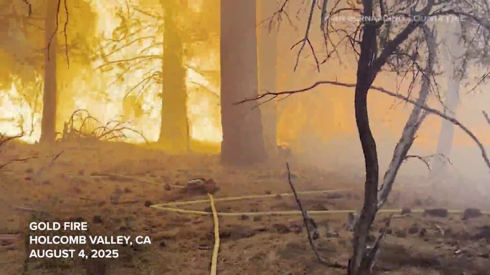 cover for Gold Fire scorches vegetation near Big Bear
