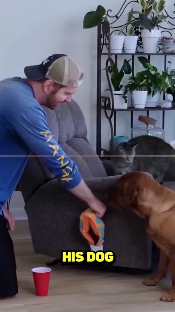 cover for This man was teaching his dog how to open the sofa