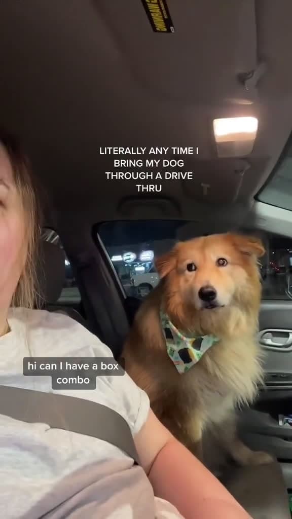 cover for Dog gets offended when owner doesnt order any food for her in the drive thru