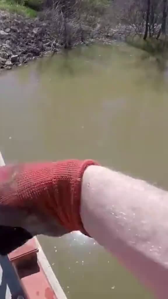 cover for Incredible Magnet Fishing Discovery!