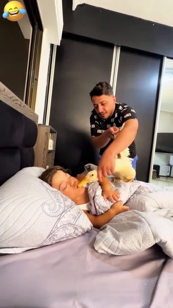 cover for Best funny prank fyp funnymoments funny Foryou tiktok funnytiktok prank scary 80503 #trending