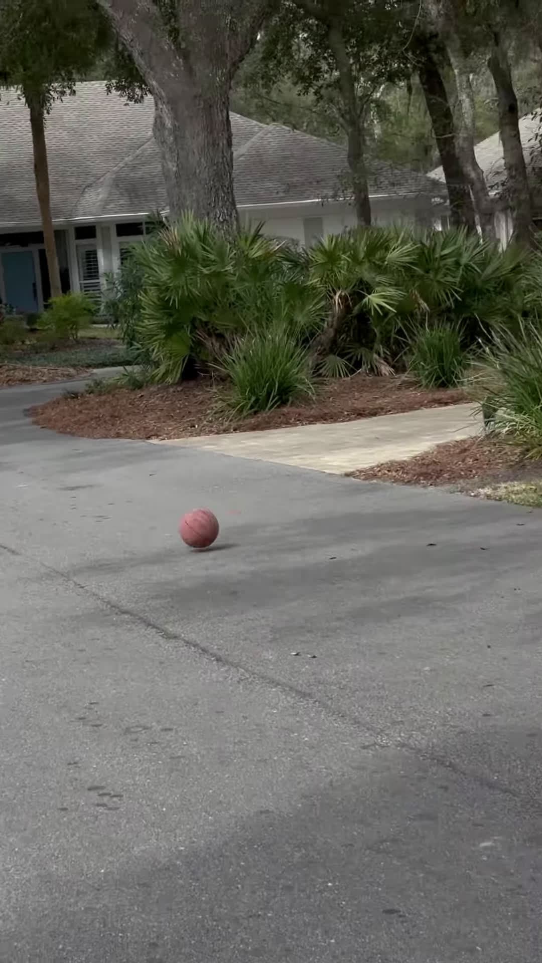 cover for Rolling a basketball down a long street into the water bottles shorts