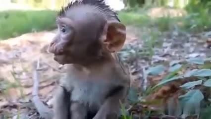 cover for Heart Breaking, This poor baby is hungrym, left alon and cry out loud for mom
