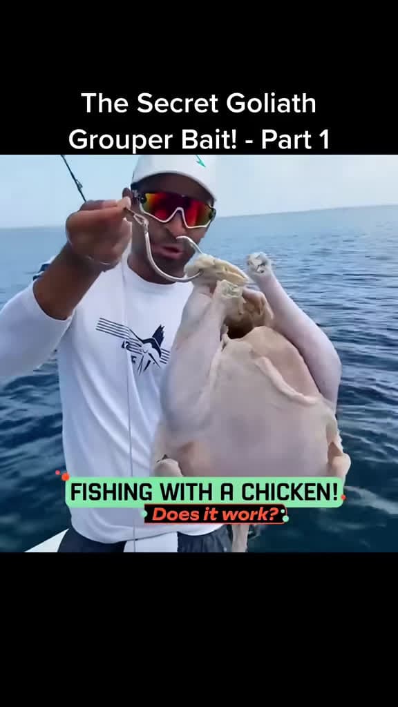 cover for Caught a massive grouper using just chicken bait! 😳🎣 #fishing #grouper #catchoftheday