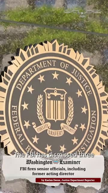 cover for FBI fires senior officials, including former acting director