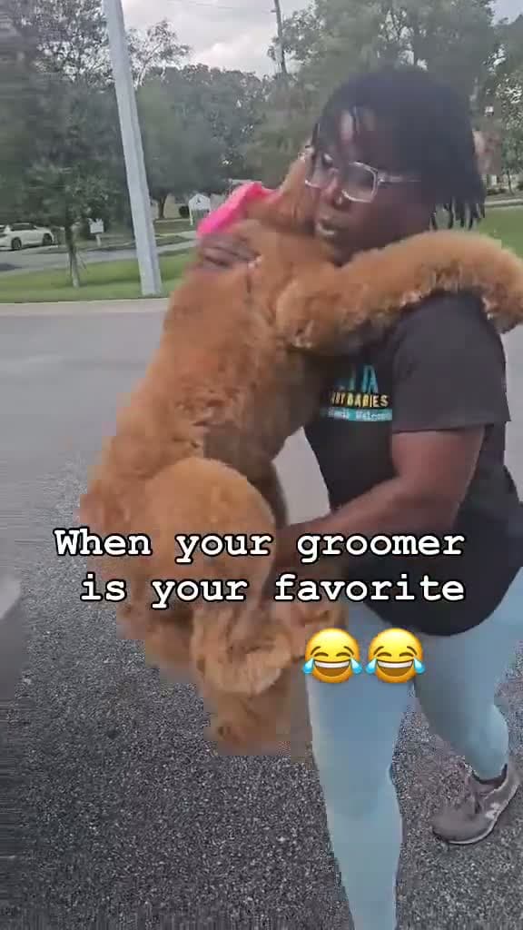 cover for #ThePawfectMoment he don't want to go home🤣🤣😆
