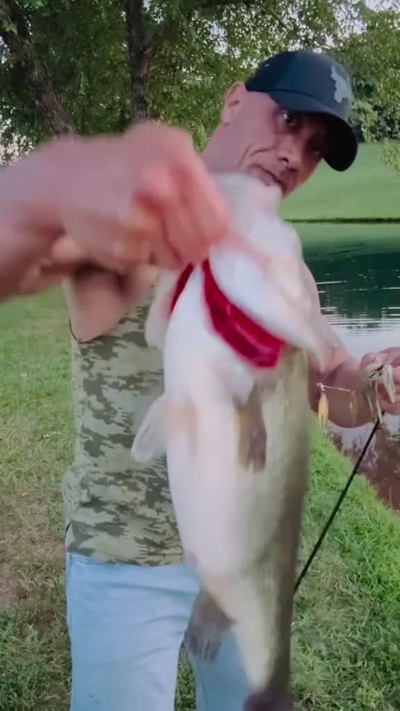 cover for Saw one of the OG’s 🎣 do this years ago and thought how cool and caring it was when we catch a big hog who puts up a helluva fight - to get them back into the water gently and move them back and forth so oxygen gets back into their lungs.They have a lot of lactic acid build up and they’re in shock. Get them back in gently, help them reacclimate and when they’re ready, they’ll piece out and swim off 🤣✌🏾🐟I think I saw @Bill Dance do it on TV years ago and that effort and gesture always stuck w